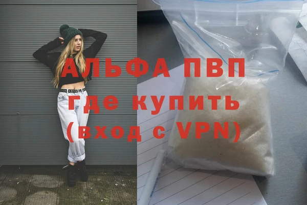 индика Нея