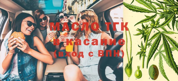 сатива Новокубанск