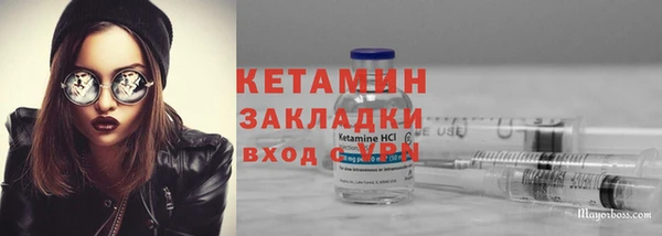индика Нея